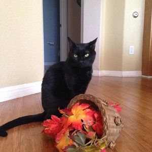 Meet your Posher, Maria